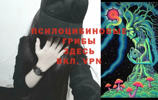 прущий лед Алексин