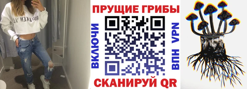 Купить где  Нижняя Тура  Галлюциногенные грибы MAGIC MUSHROOMS 